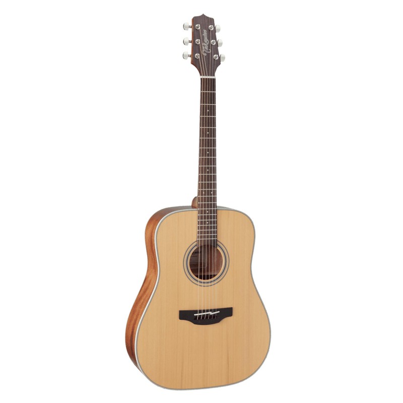 Guitare Folk TAKAMINE GD20NS