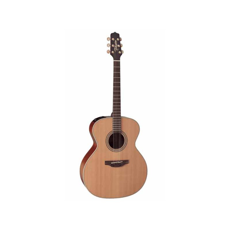 Guitare Folk Electro TAKAMINE EN20