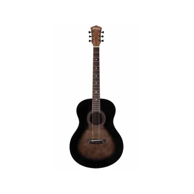 Guitare Folk WALDEN CONCORDA CD550 + Housse